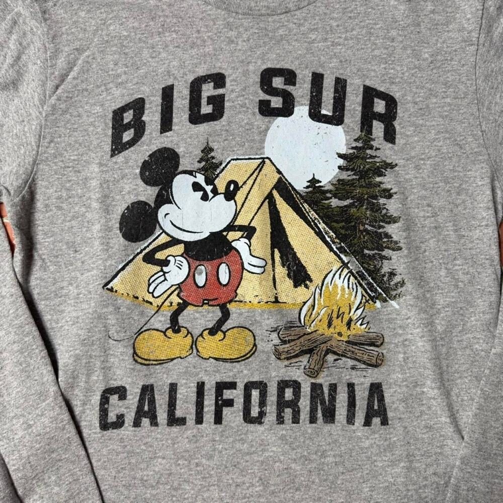 Disney Mickey Mouse Big Sur California Cropped Tee Size S Gorpcore - Picture 3 of 8